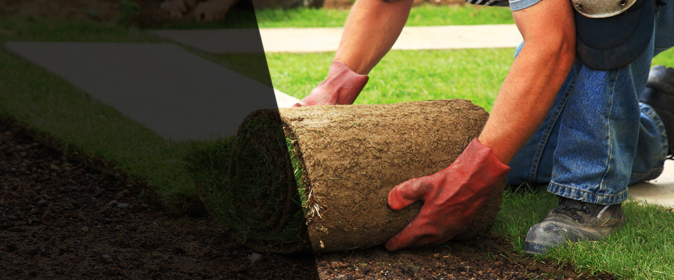 Whitesboro Landscapers